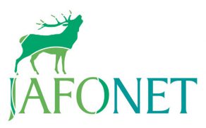 Logoerstellung Grafikdesign Anja Wießmann Waren