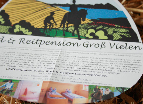 Flyergestaltung Illustration Grafikdesign Werbeagentur Anja Wießmann MV